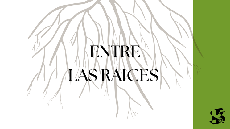 entre raices 1